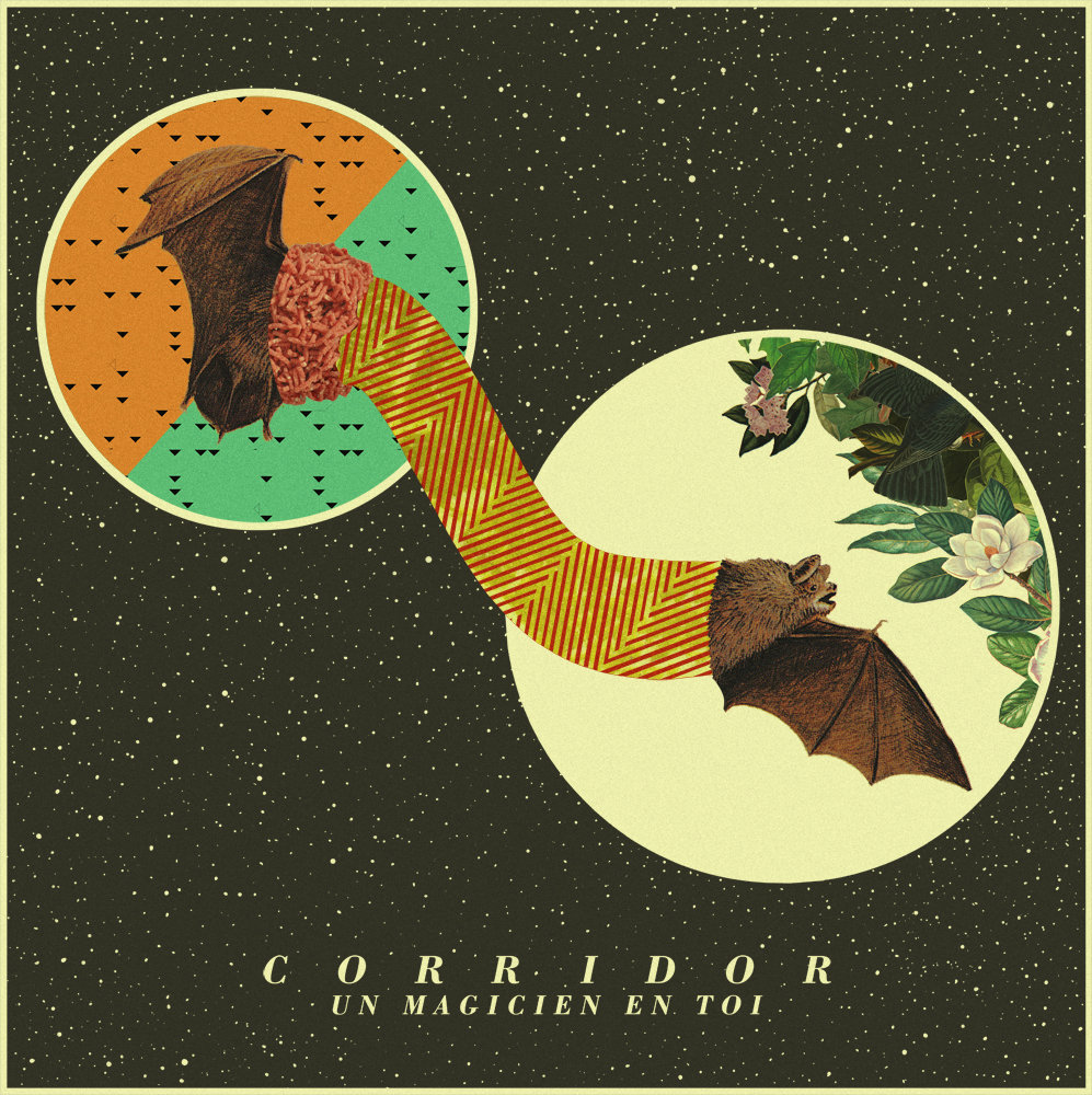 Corridor - Un magicien en toi